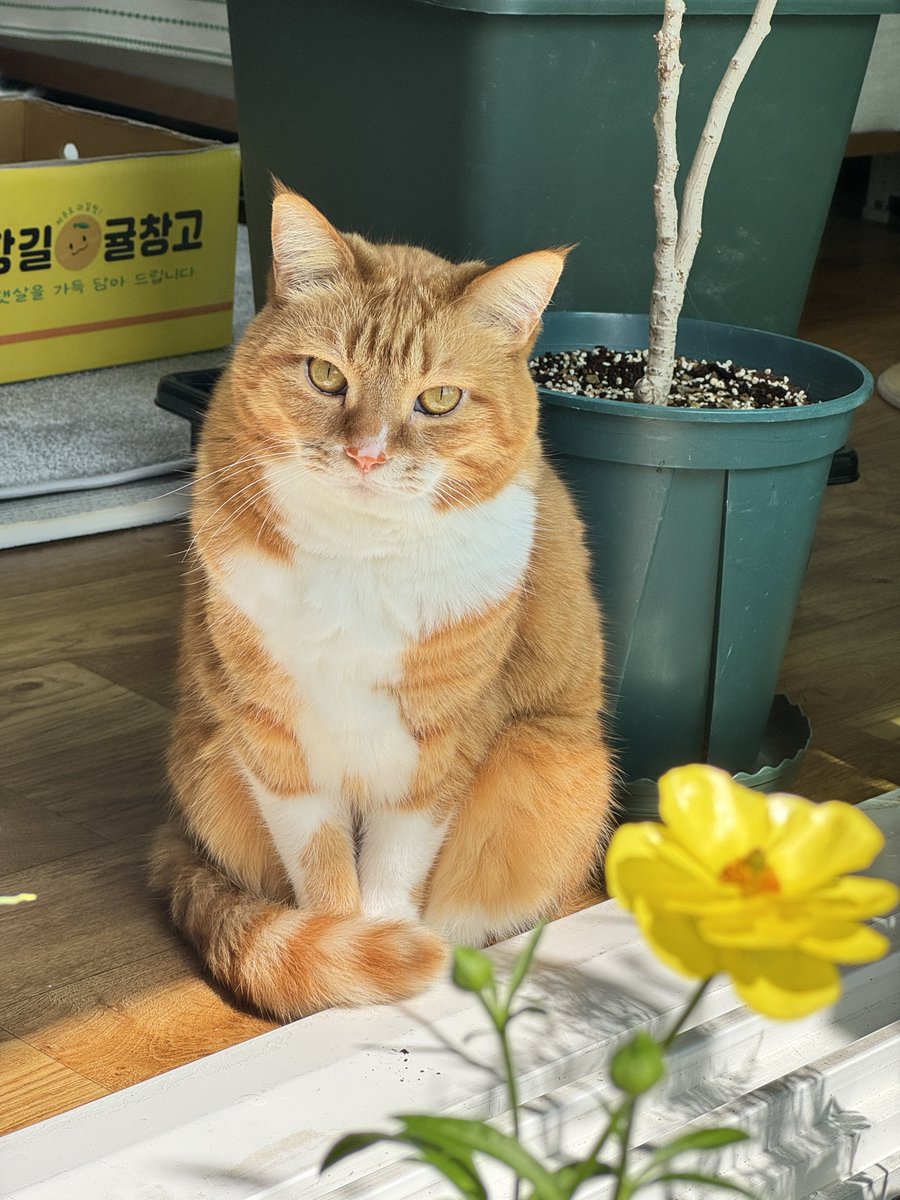 섬 ⛵️🕯️ tweet media