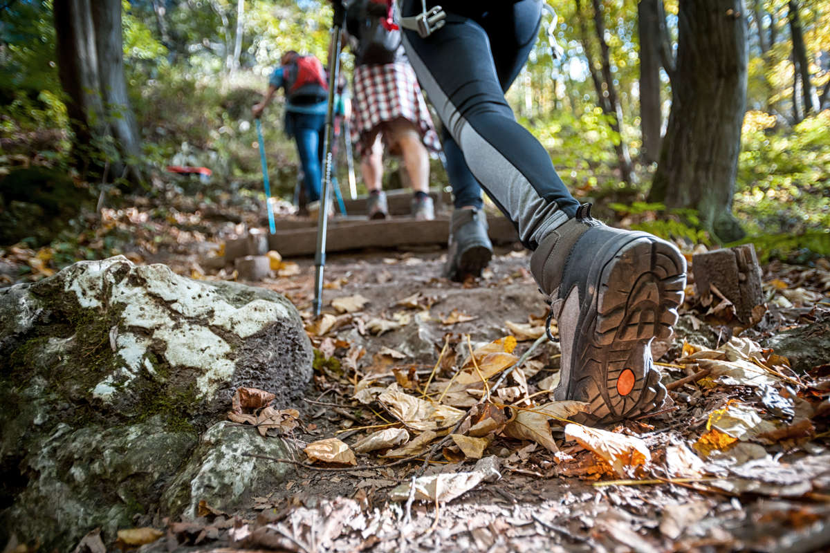 IslamuddinWard1's tweet photo. Time on the trail is time well spent. Hiking supports mental clarity, reduces tension, and strengthens the body one step at a time 🌄🧠 #MindfulHiking #WellnessOutdoors #TrailTherapy https://t.co/Vl4eGtvZsk
