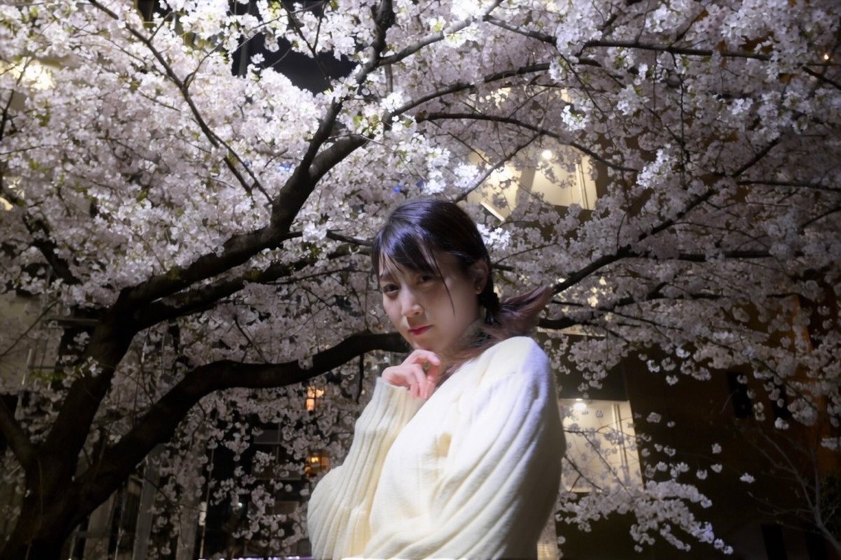 miacafe_japan's tweet photo. Spring, please stay ☪︎·̩͙
(Translation: Monday, don’t come. 😭✨)
model
@miamaid4
photographer
@kyohei11272
🎀 MiaCafe Akiba – Tokyo 🎀
Oto @miamaid4
#concafe #conceptcafe #maidcafe
#akihabara #japan #kawaii
#japantravel #anime #animegirl
#moe #maid #maiddress #cosplay https://t.co/5YacYKf26Q