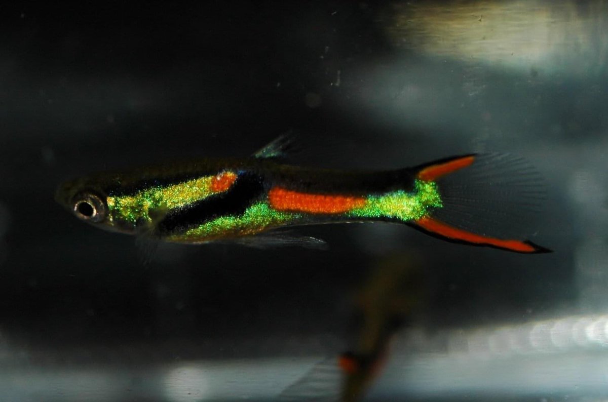 のぉん tweet media