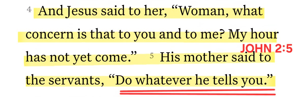 Stars and Stripes tweet media