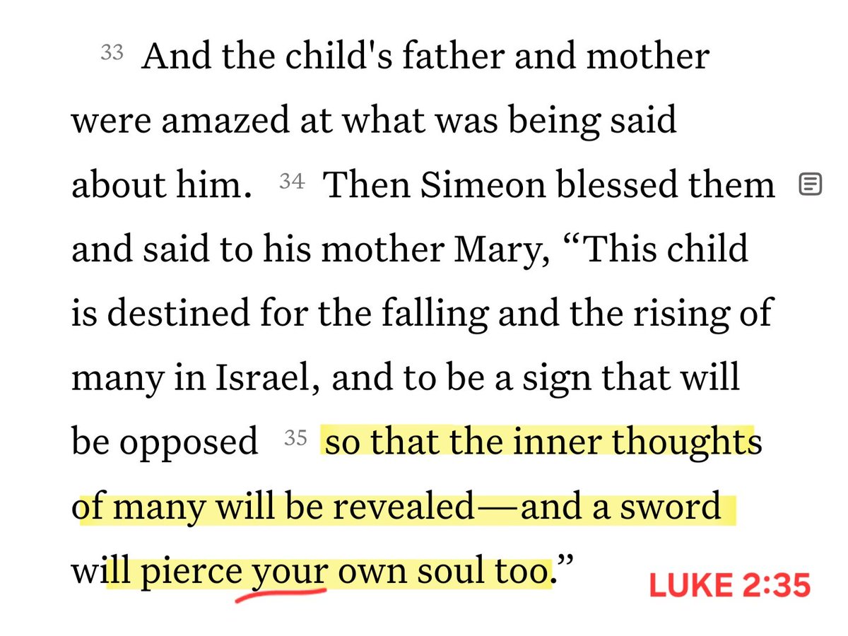 Stars and Stripes tweet media