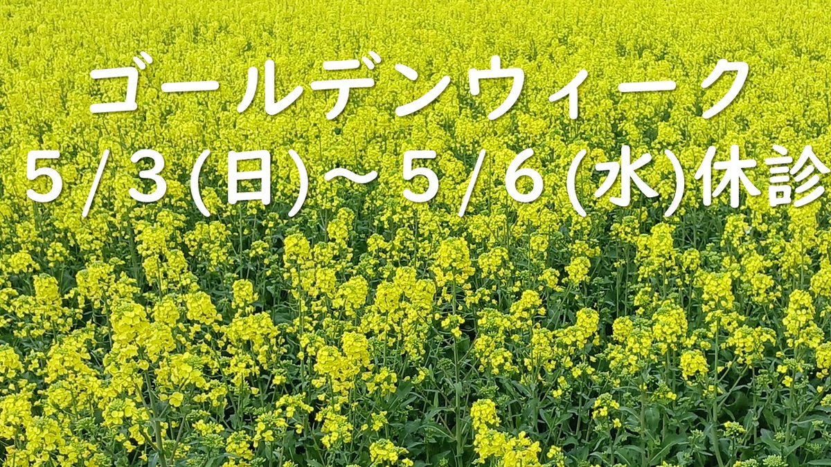 LifeDentalCL's tweet photo. ゴールデンウィークの休診について🍀５/３(日)～６(水)は休診となります。ご迷惑をお掛けいたしますが、何卒ご了承ください。4/30(木)・5/1(金)・5/2(土)は通常診療いたします。連休前後は混み合うことが予想されます。治療中の方、お痛みがある方はお早めのご来院・ご予約をおすすめいたします。 https://t.co/6ZctctGCs0