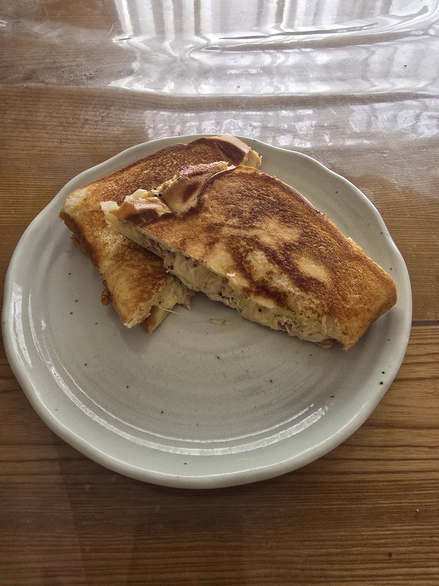 Red_eys0729's tweet photo. 昼飯のツナチーキャベツのホットサンド https://t.co/MW1jKEcecQ