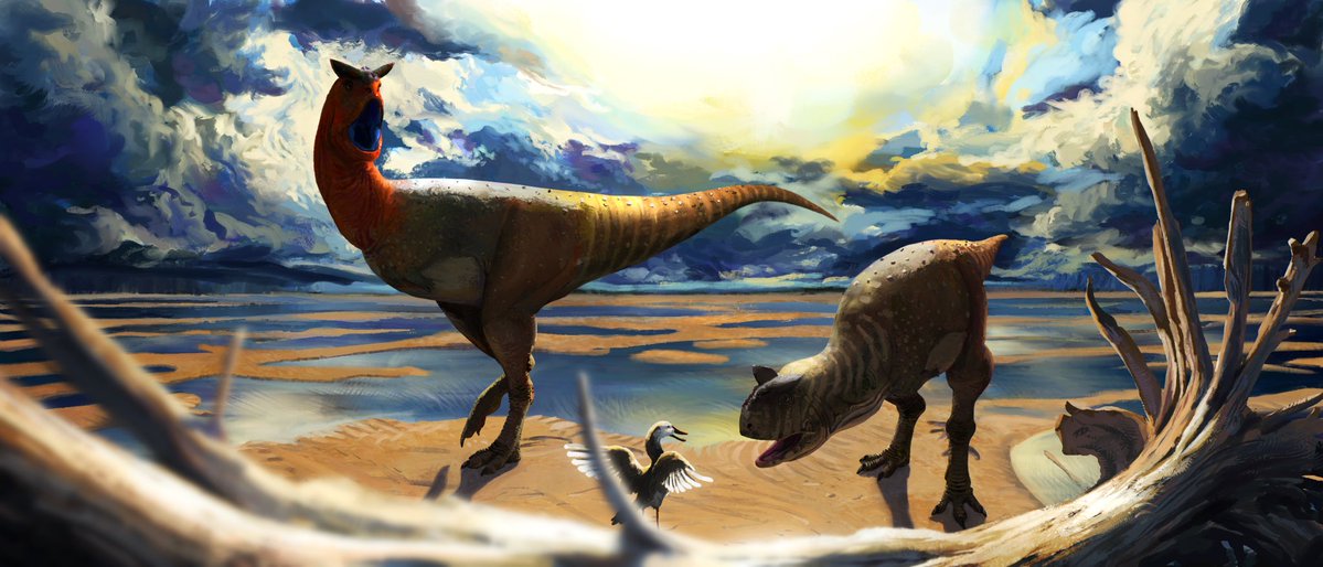 Mauricio tweet media