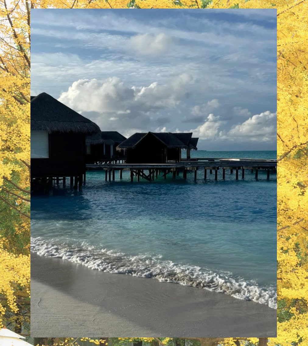 David Reynolds tweet media