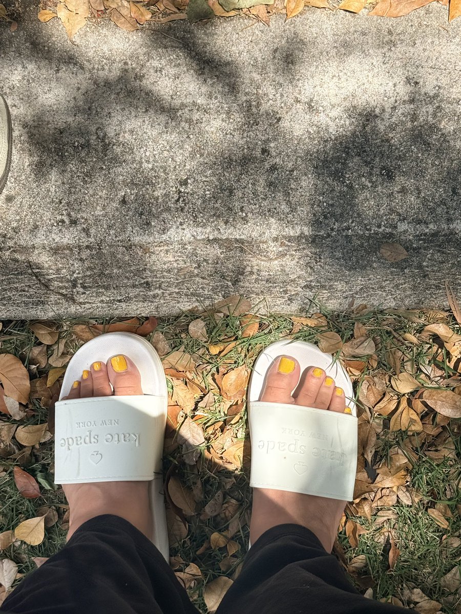 babysalo017's tweet image. sand or grass? either way I love my little toes out in the sun ☀️🩵☺️

#feet #sun #tropical #foot #footfetish