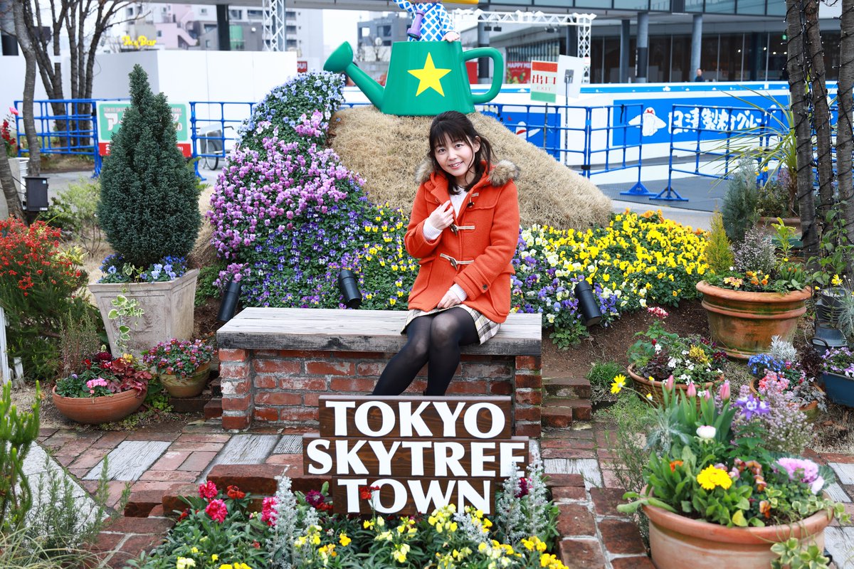 小松正晴 tweet media