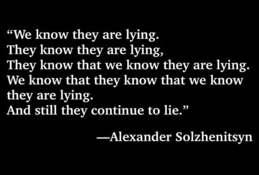 shoos4u🌻🦋(Alffy)🌲 tweet media