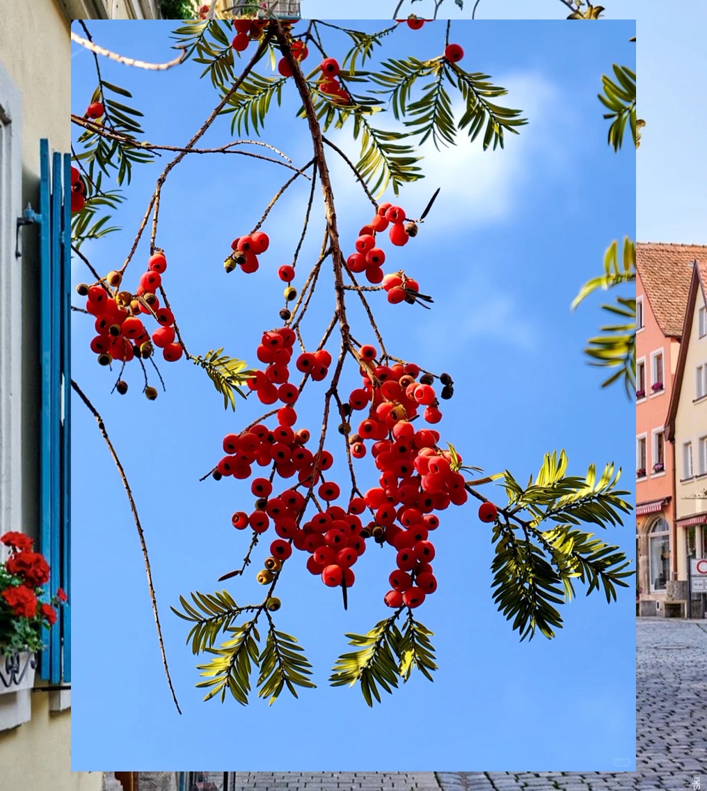 Ruben Muhammad tweet media