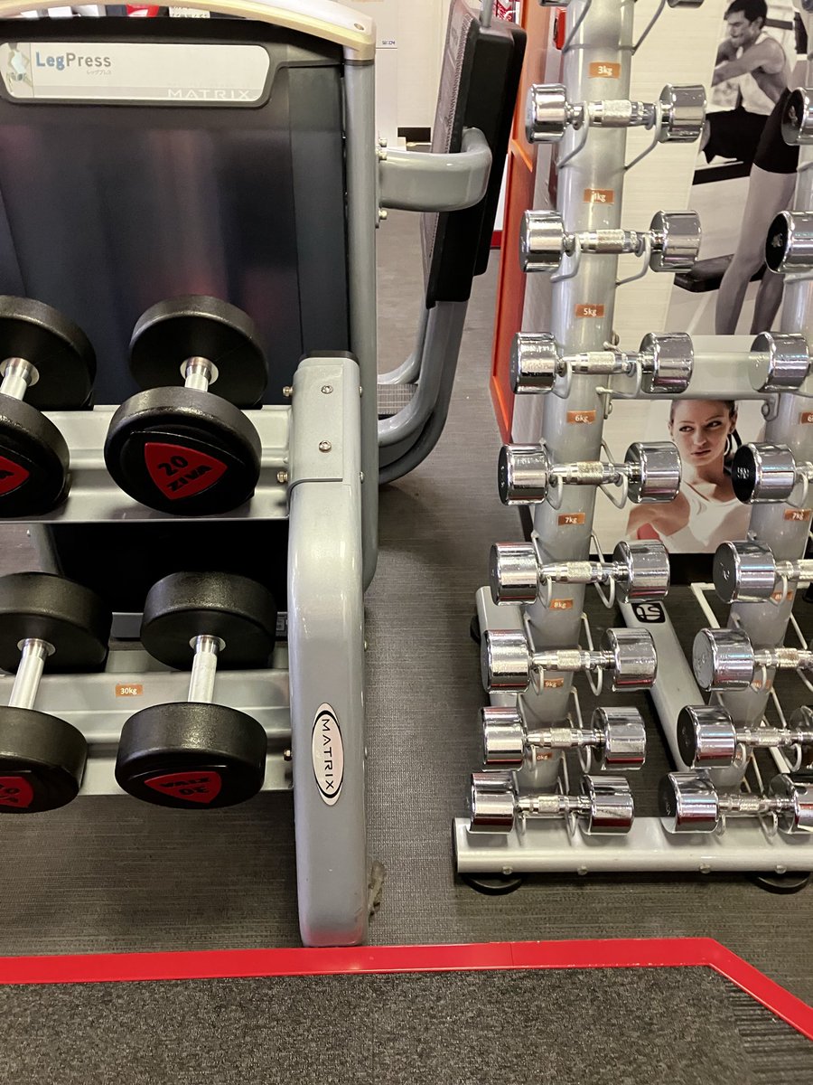 アンギラス2001 tweet media