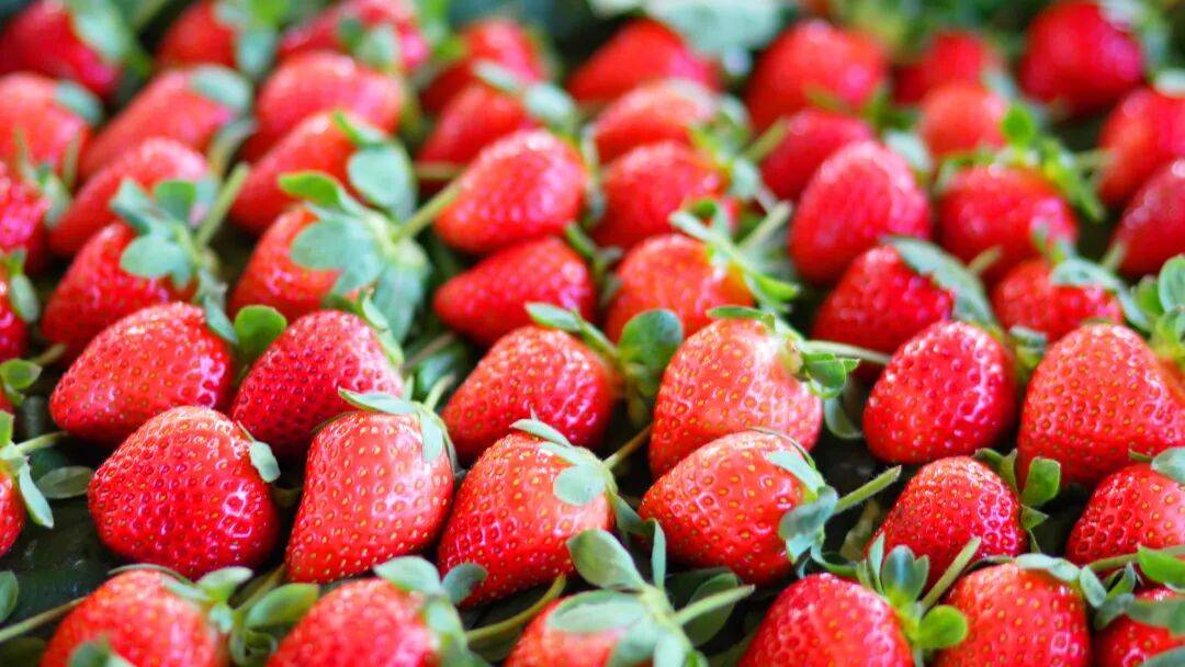 やすひろ tweet media