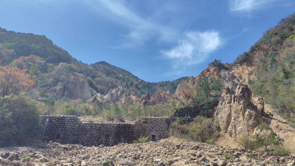 グレエス tweet media