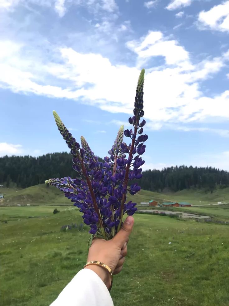 Suriya jan tweet media