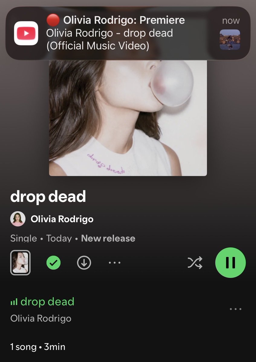 shelly 🩷 | dropped dead tweet media