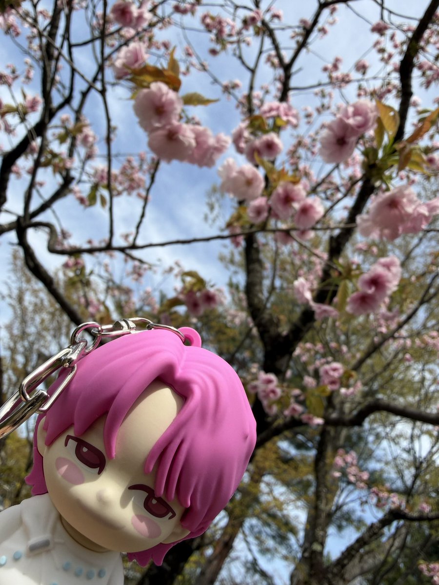 EIENでPhobiaが見たい@白湯と抹茶 tweet media