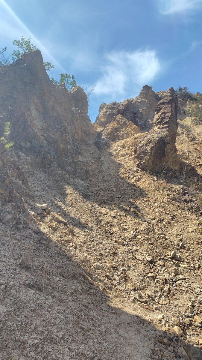 グレエス tweet media