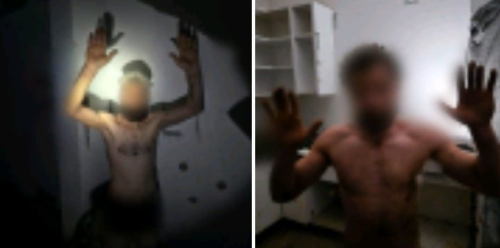 * وائل * tweet media