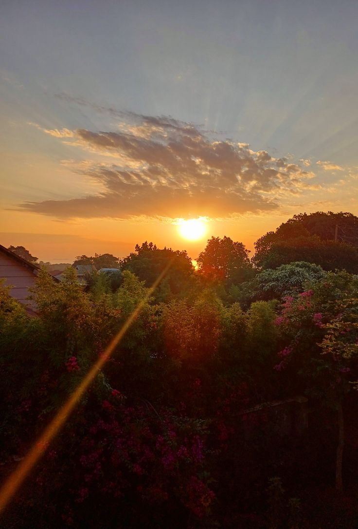 UG'S MOST WANTED tweet media