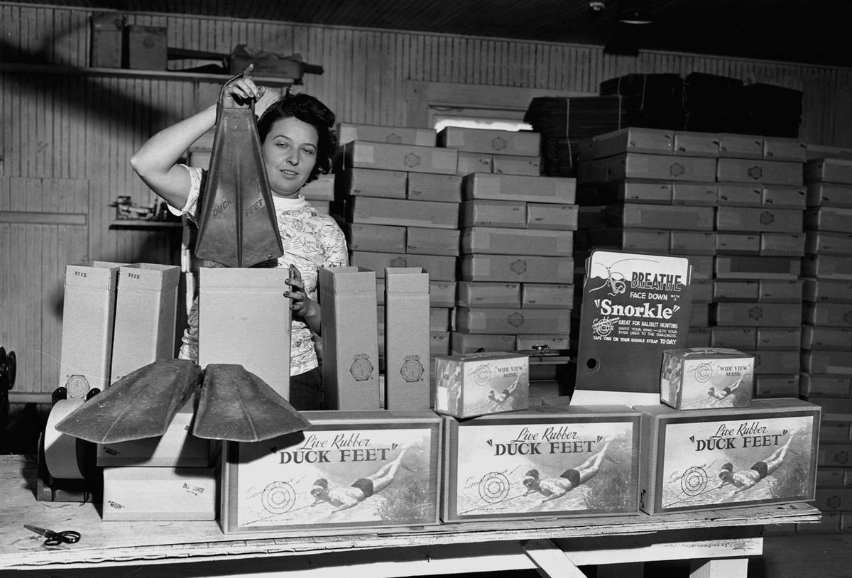 ocpublib's tweet image. OC Stories #TBT
Duck feet brand diving fins manufactured by the Spearfisherman Company, 7521 Clay Street, Huntington Beach, April 16, 1951.
#localhistory #orangecounty