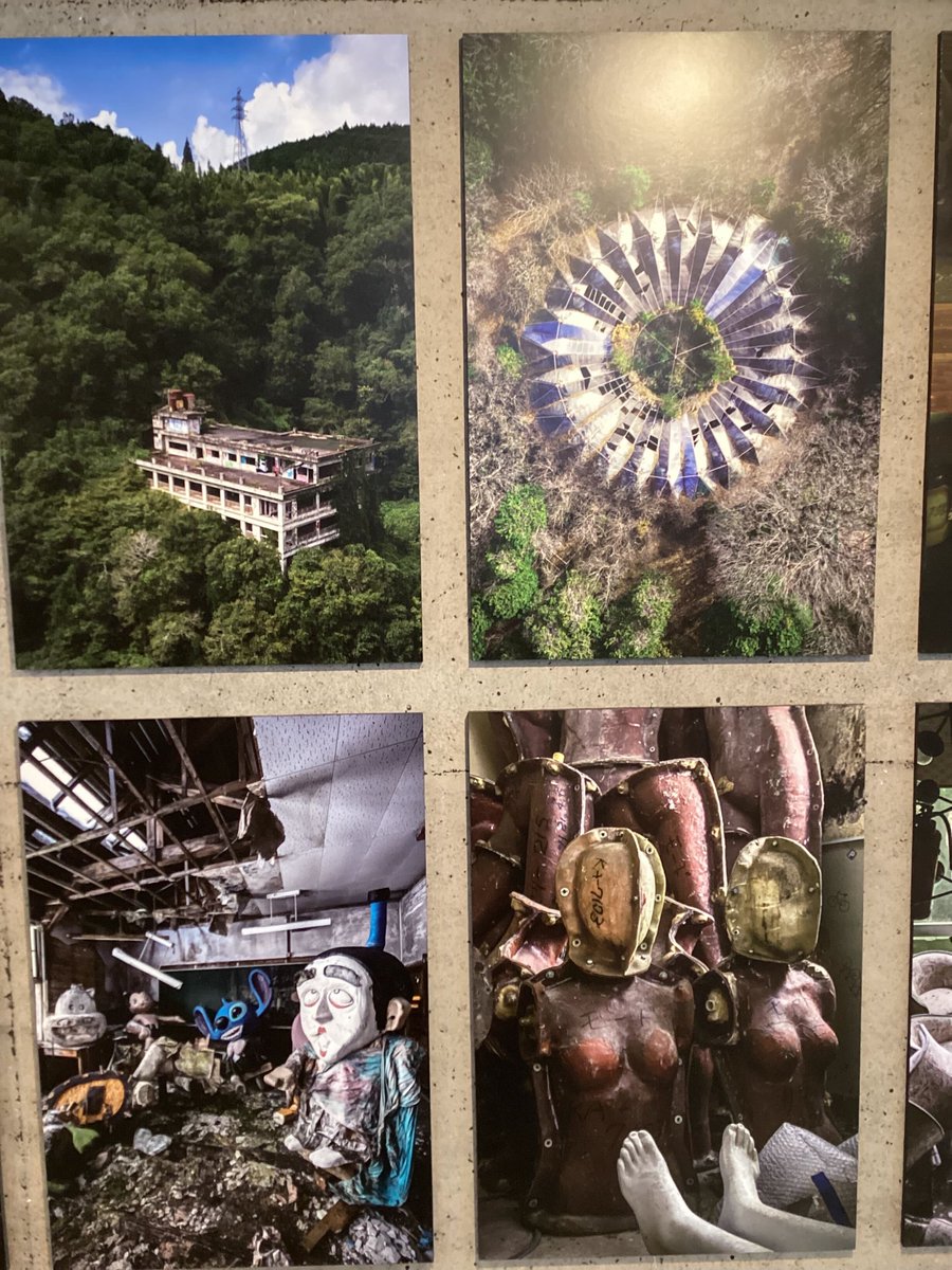 TODAYS GALLERY STUDIO.公式(TOKYO & NAGOYA) tweet media