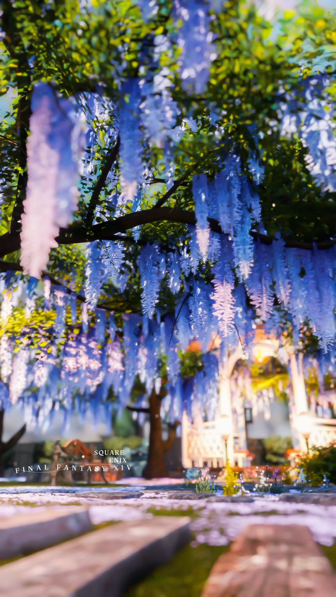 んご🍡 tweet media