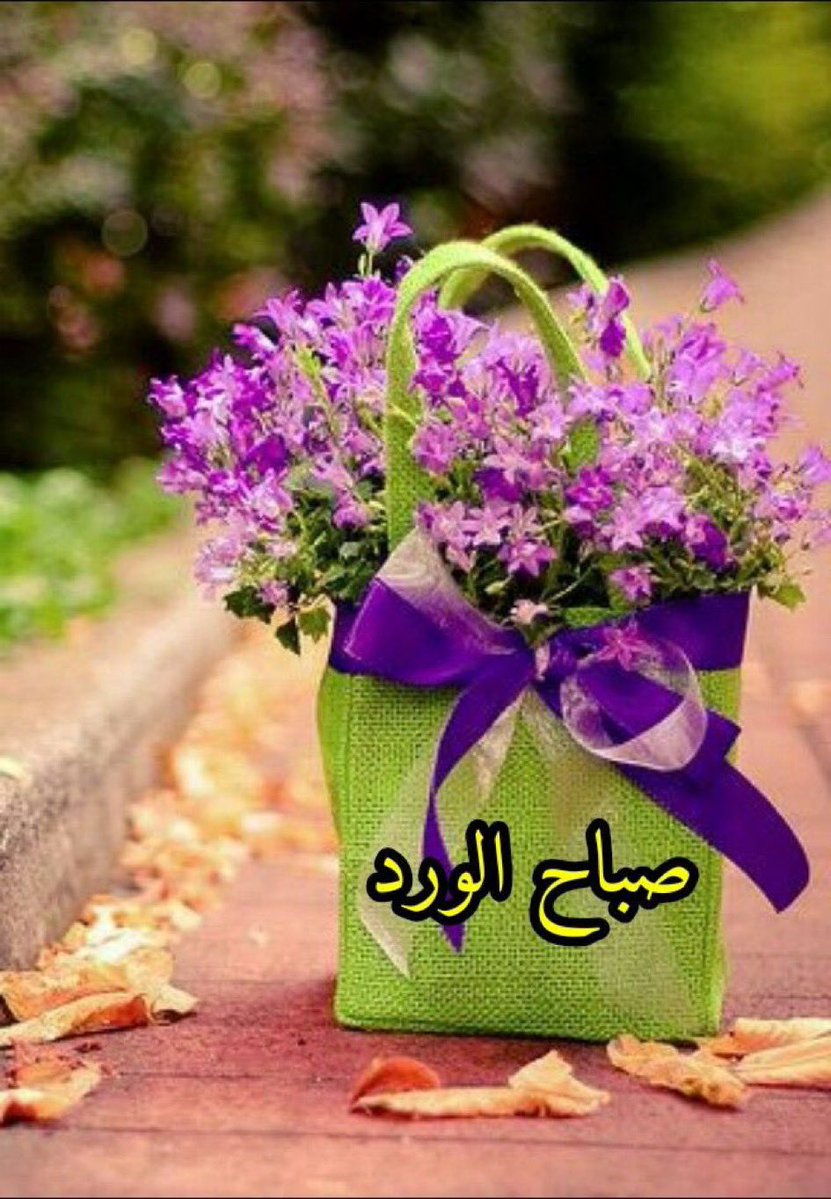 Abu Saud Al-Shammari tweet media