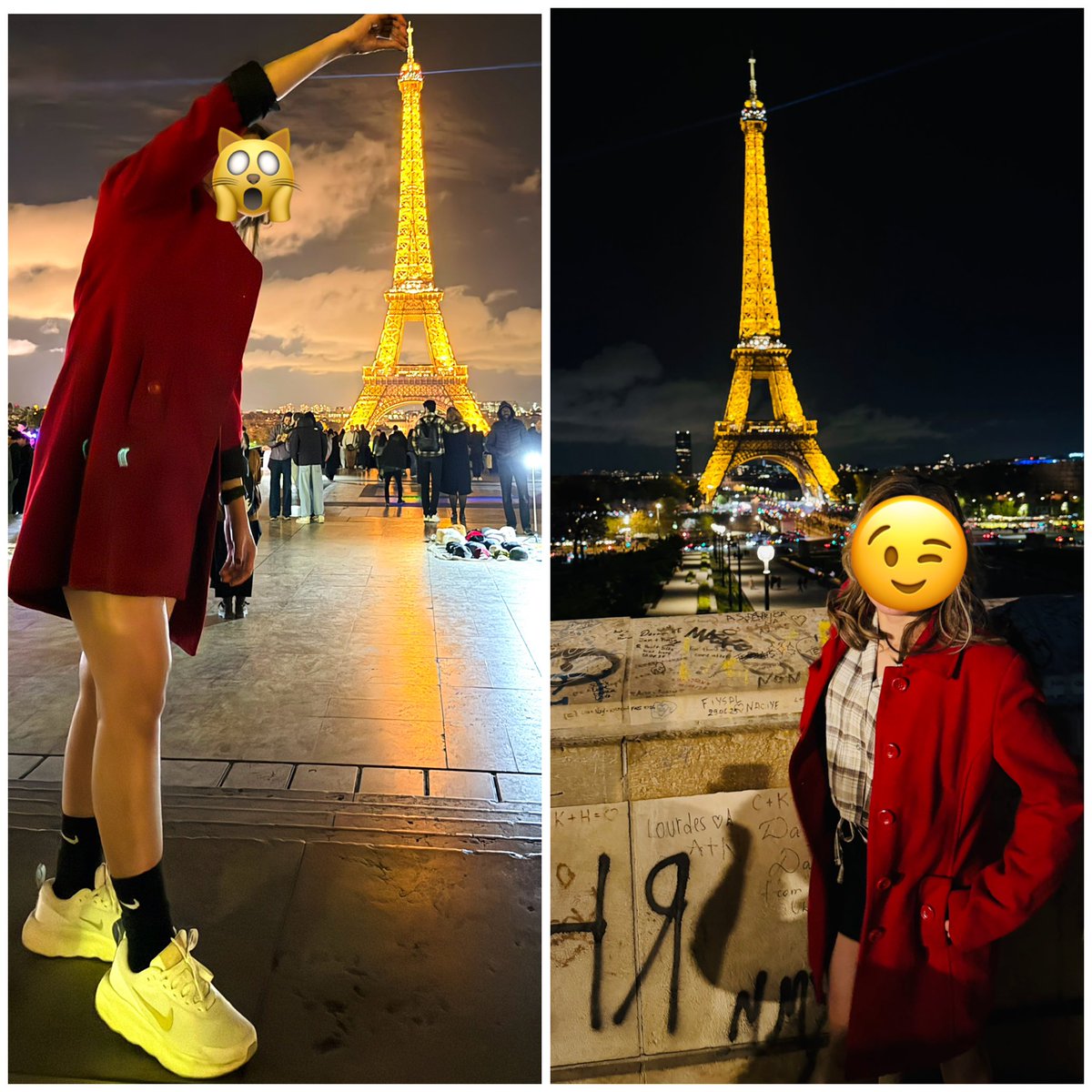 LingOrm-Canada tweet media