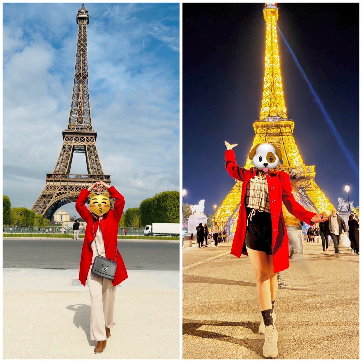 LingOrm-Canada tweet media