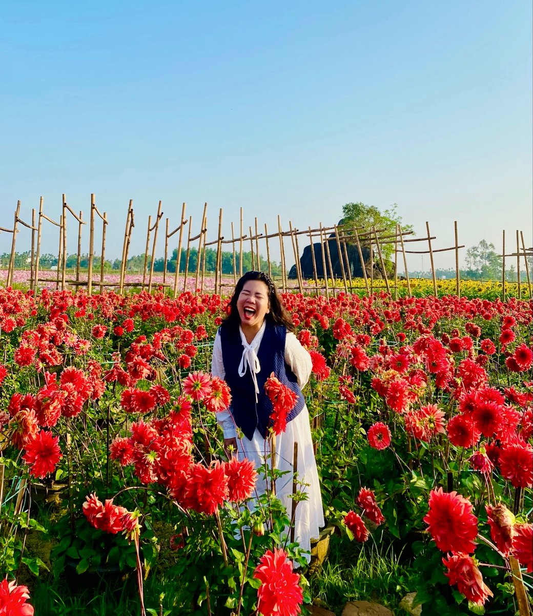 Điệp Vũ | Dahlia tweet media