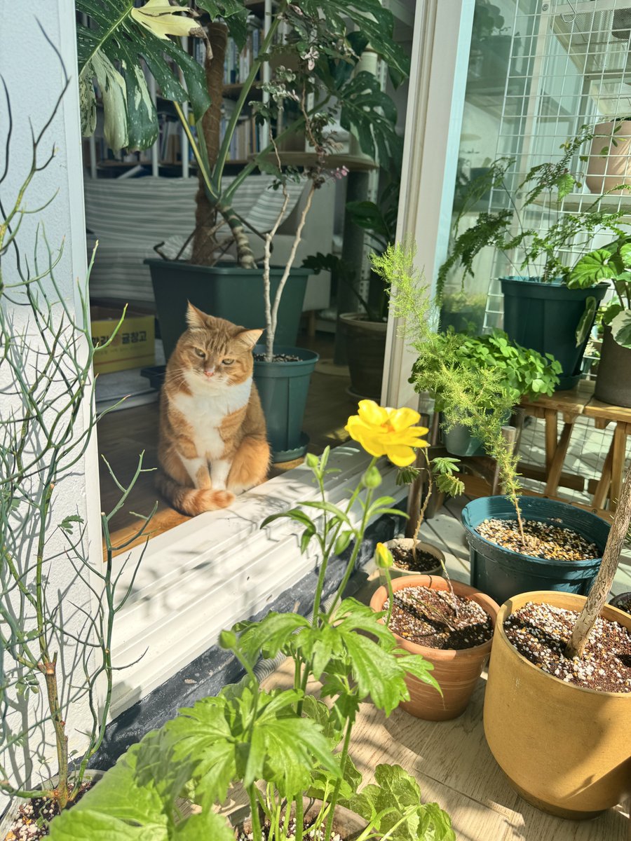 섬 ⛵️🕯️ tweet media