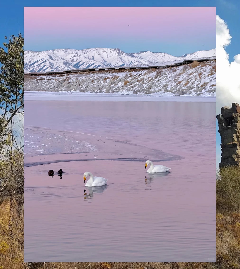 Mike West tweet media