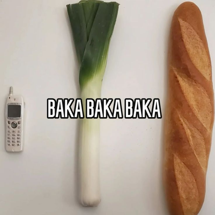 初音ミク tweet media