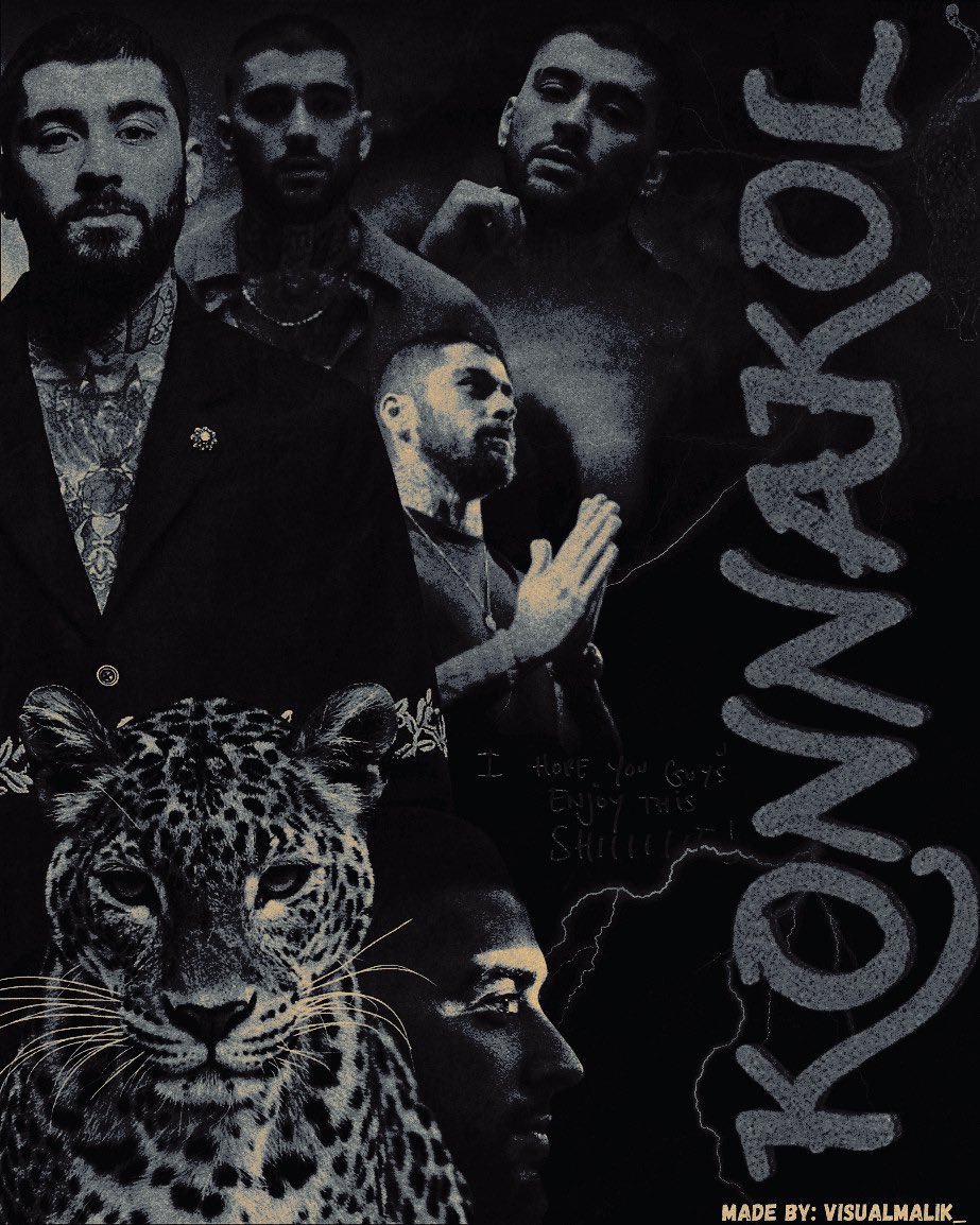 lavi | seeing zayn 10/10 🇧🇷🐆 tweet media