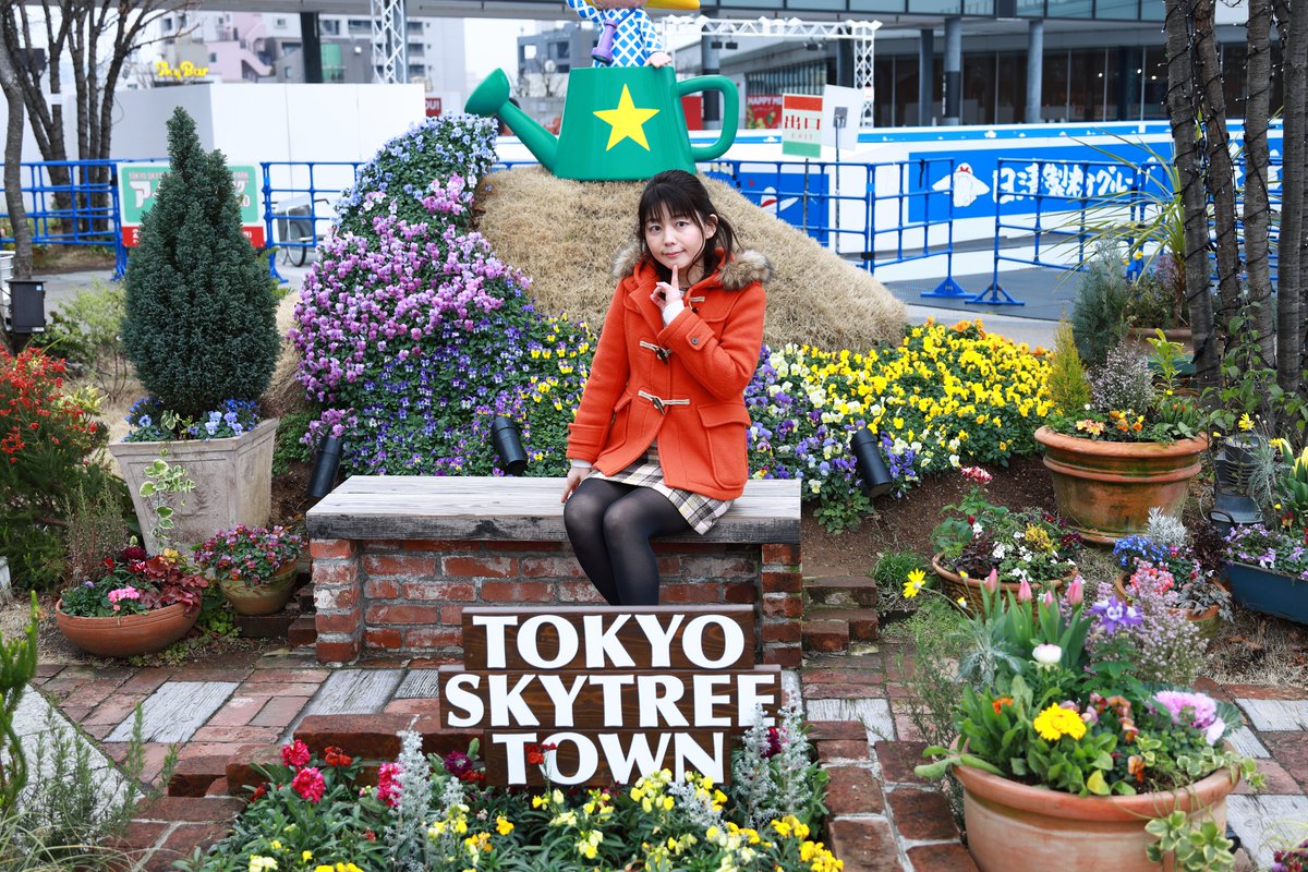 小松正晴 tweet media