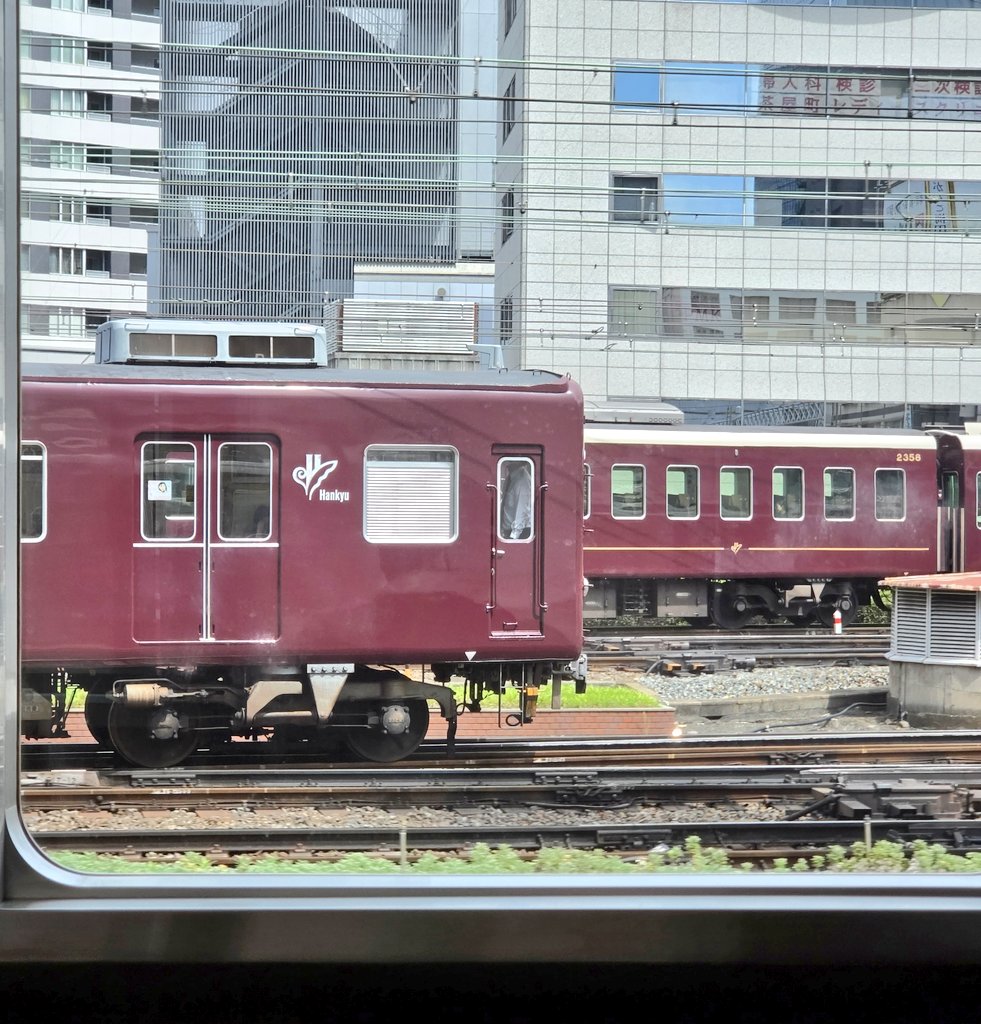 まるしぇ tweet media