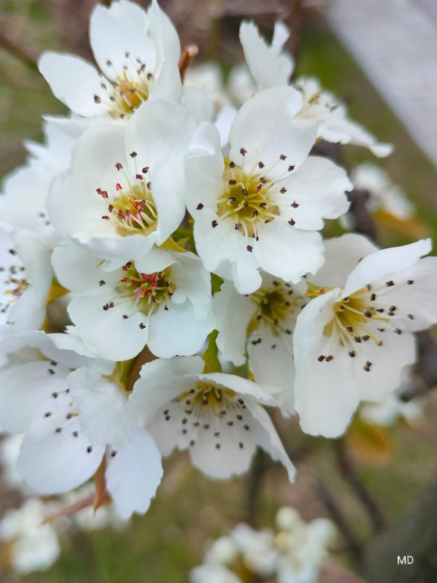 MartinaDvorsk2's tweet image. 