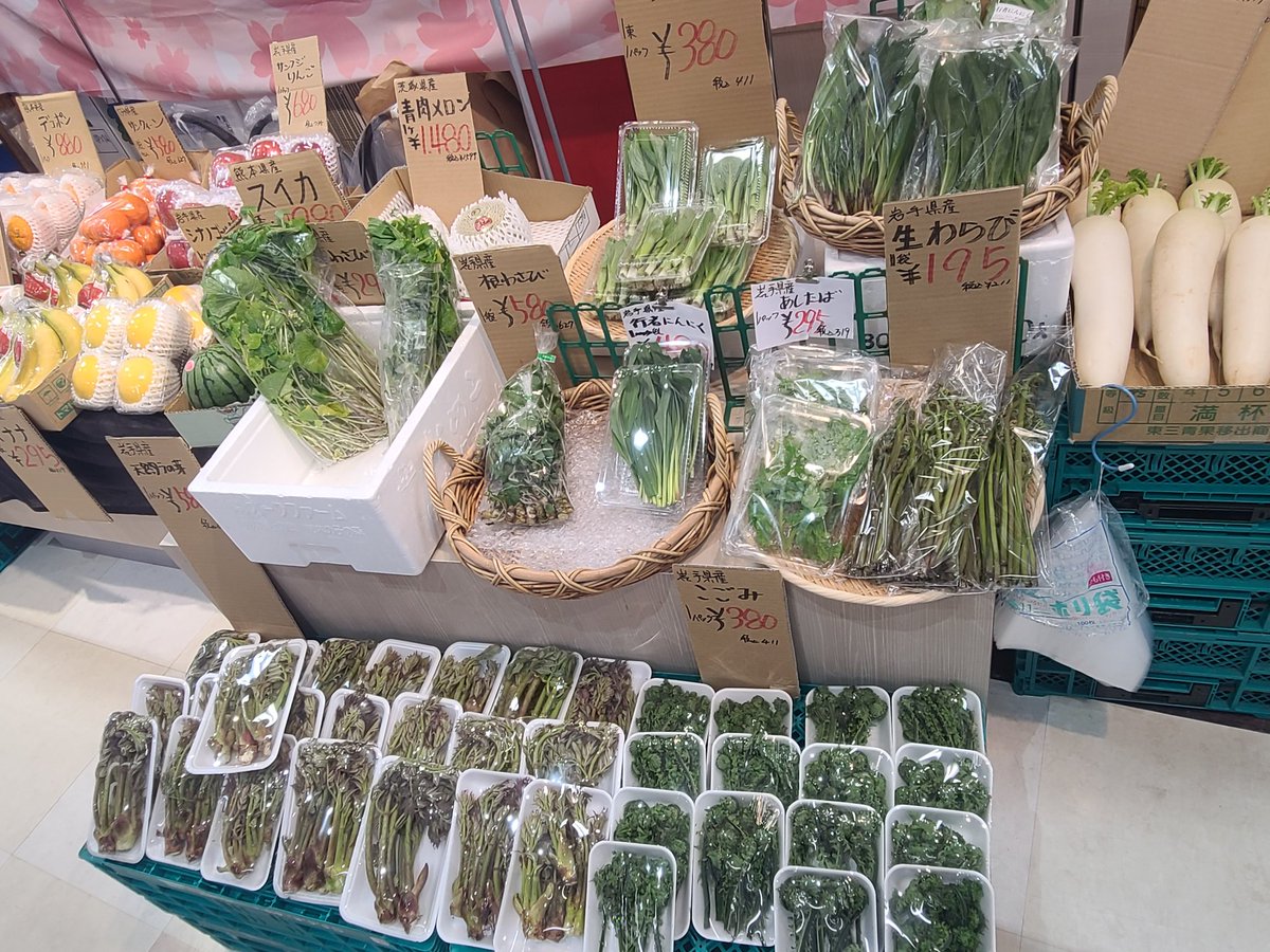 daika_otsuchi's tweet photo. 本日の「やっちゃば」！
また山菜を入荷！
#岩手県　#大槌　#八百屋　#山菜 https://t.co/8AyOF3oIZB