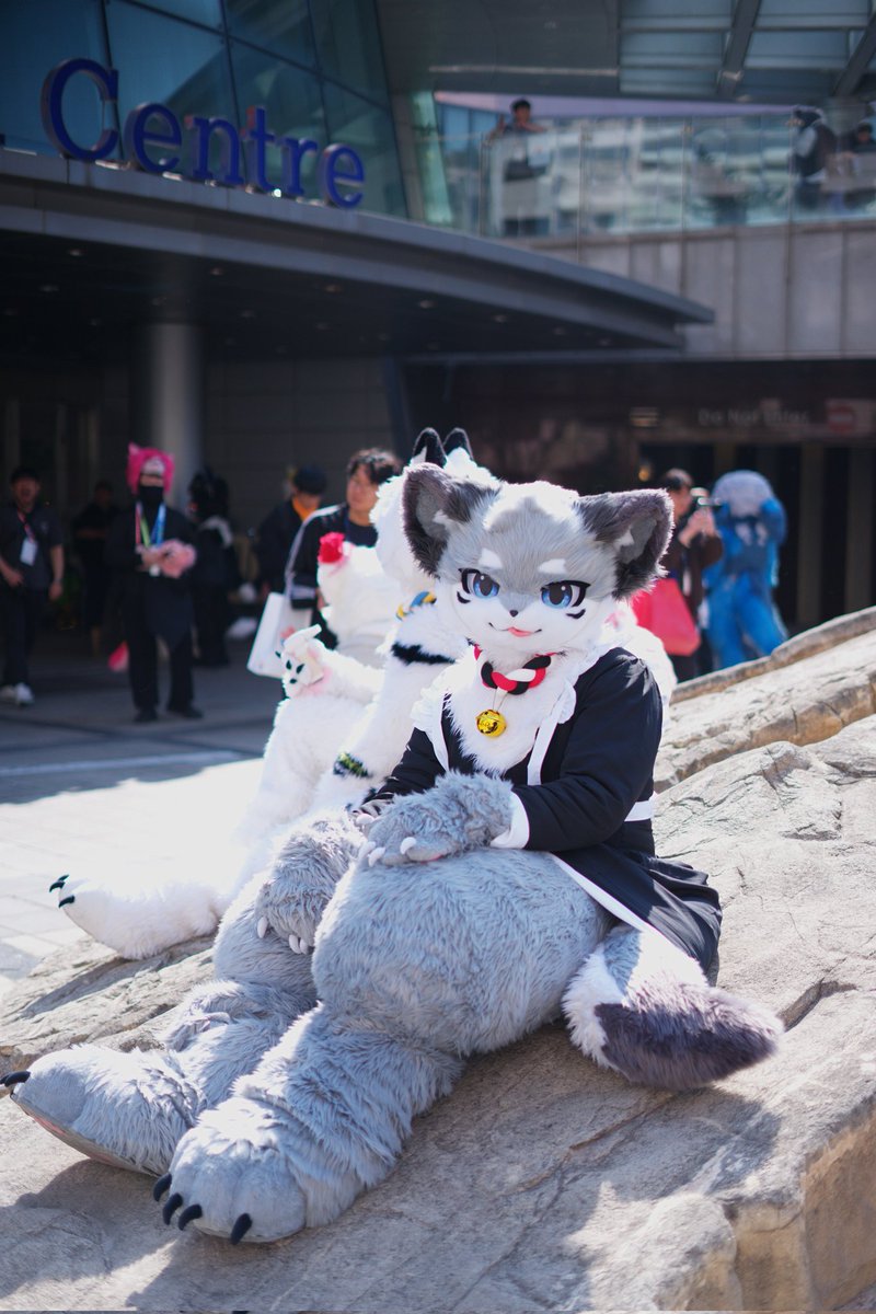 바른멍멍이🔜FURST CLASS tweet media