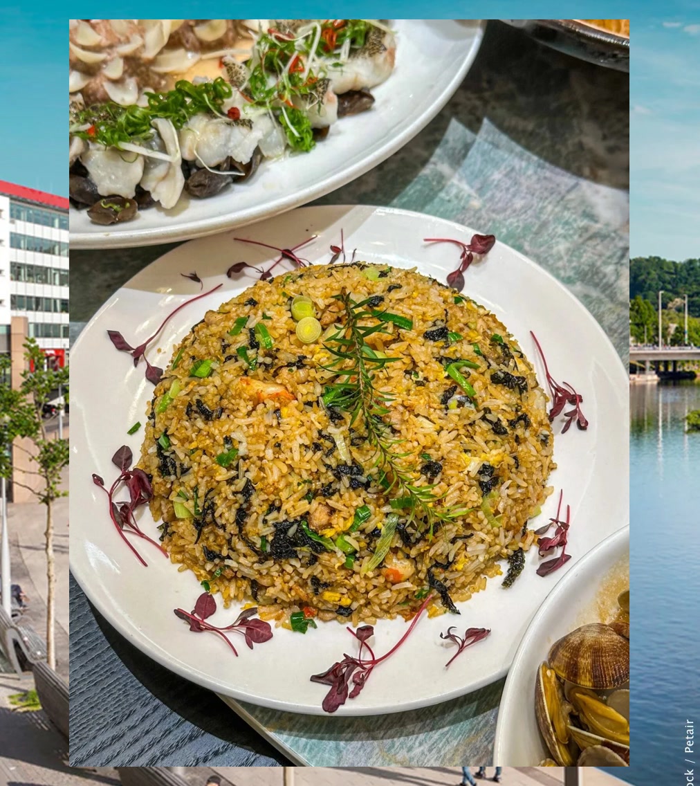 Lisa Wolfe tweet media