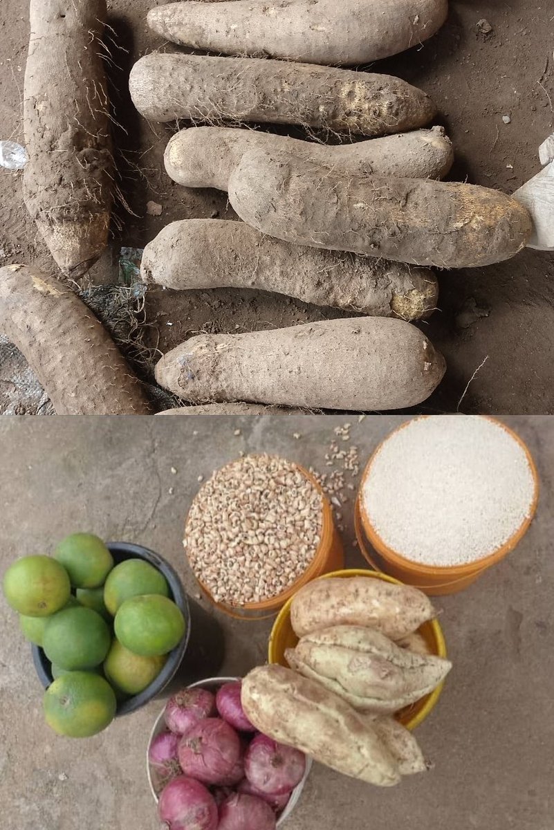 <a href="/nosafk/">Tweeter_Headmaster 🇮🇹🇳🇬⚫⚪</a> Good Morning 

Sweet Benue Yam and Combo Old Yam. Very Sweet, Soft and Fluffy. 
-20k + delivery -10 small tubers 
-22k + delivery -10 medium mixed with small 
-24k + delivery -20 small small tubers. 
-35k + delivery 

Nationwide Delivery.