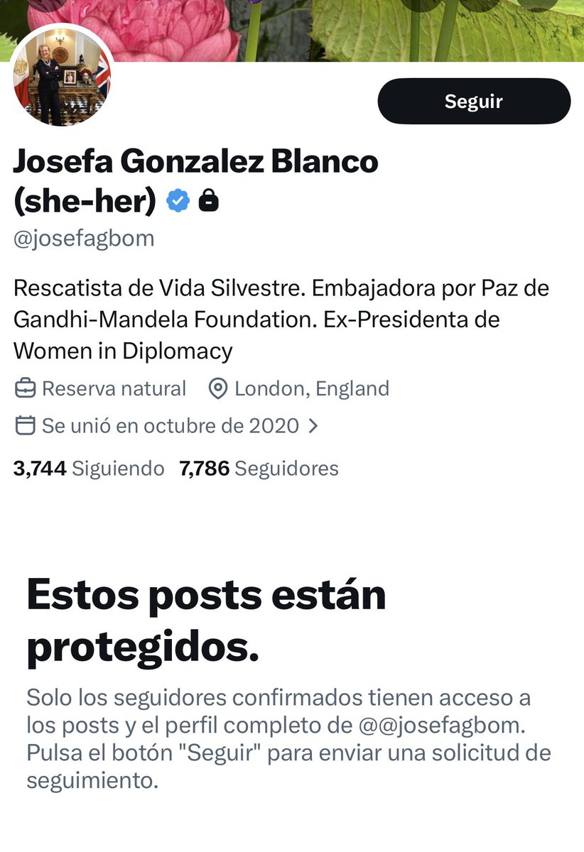 Arturo Villegas tweet media