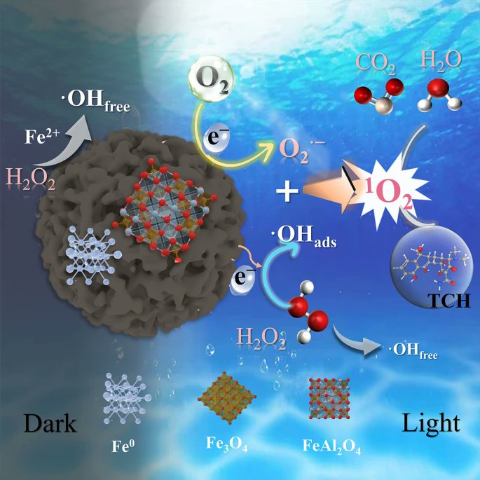 EngEnv_journal's tweet image. Visible-light-powered red-mud/#biochar activates #H2O2 for efficient tetracycline degradation via a dominant #singletoxygen (^1O2) pathway. A promising, low-cost strategy for #antibiotic #wastewater treatment and resource valorisation. #AOPs 
link.springer.com/article/10.100…