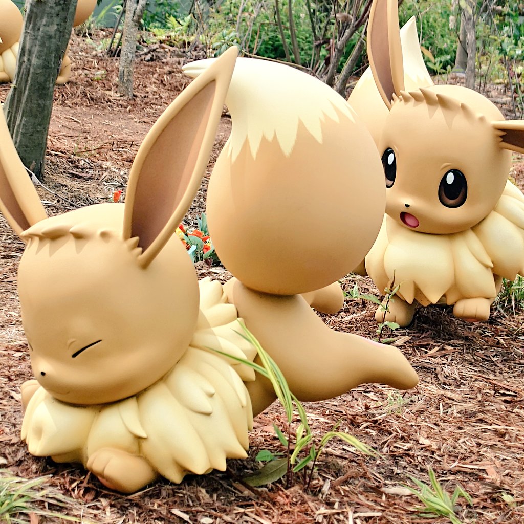 らうる tweet media