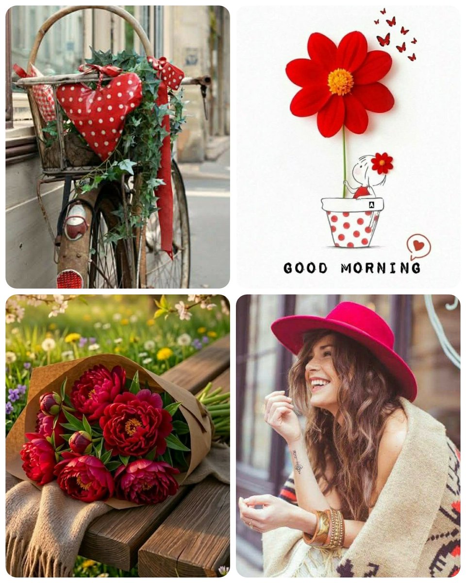 Sylke Orlowski tweet media