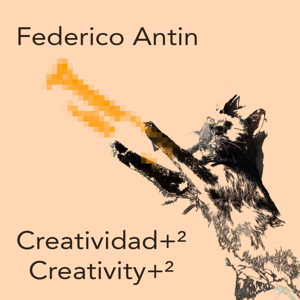 Federico Antin tweet media