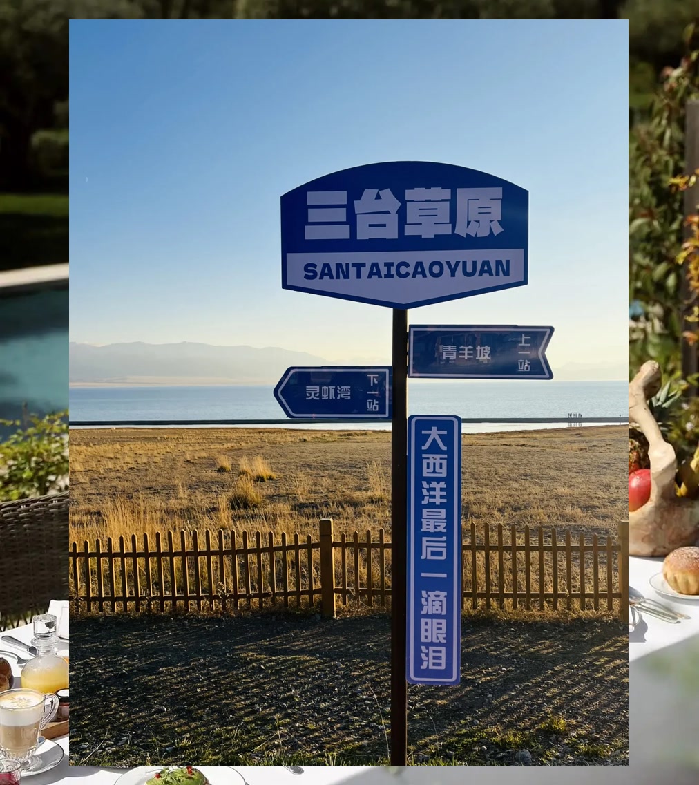 Matthew Collard tweet media