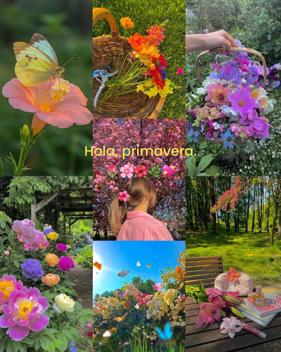 Estephanie Miranda (@estephanie50362) on Twitter photo 
