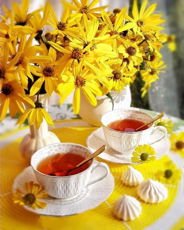 JosetteJ1's tweet image. Agréable vendredi les copinous 😘
@CassinDe23
@klingerlydie
@LisaLsalinger
@vivi7244 
@gregos73100
@66Jeafra  
Le café vous attend  😉
☕☕☕☕☕☕☕
Courage les travailleurs Le week-end arrive 🙂
 Météo 8°⛅ maxi 20°🌤
#Printemps 🌺