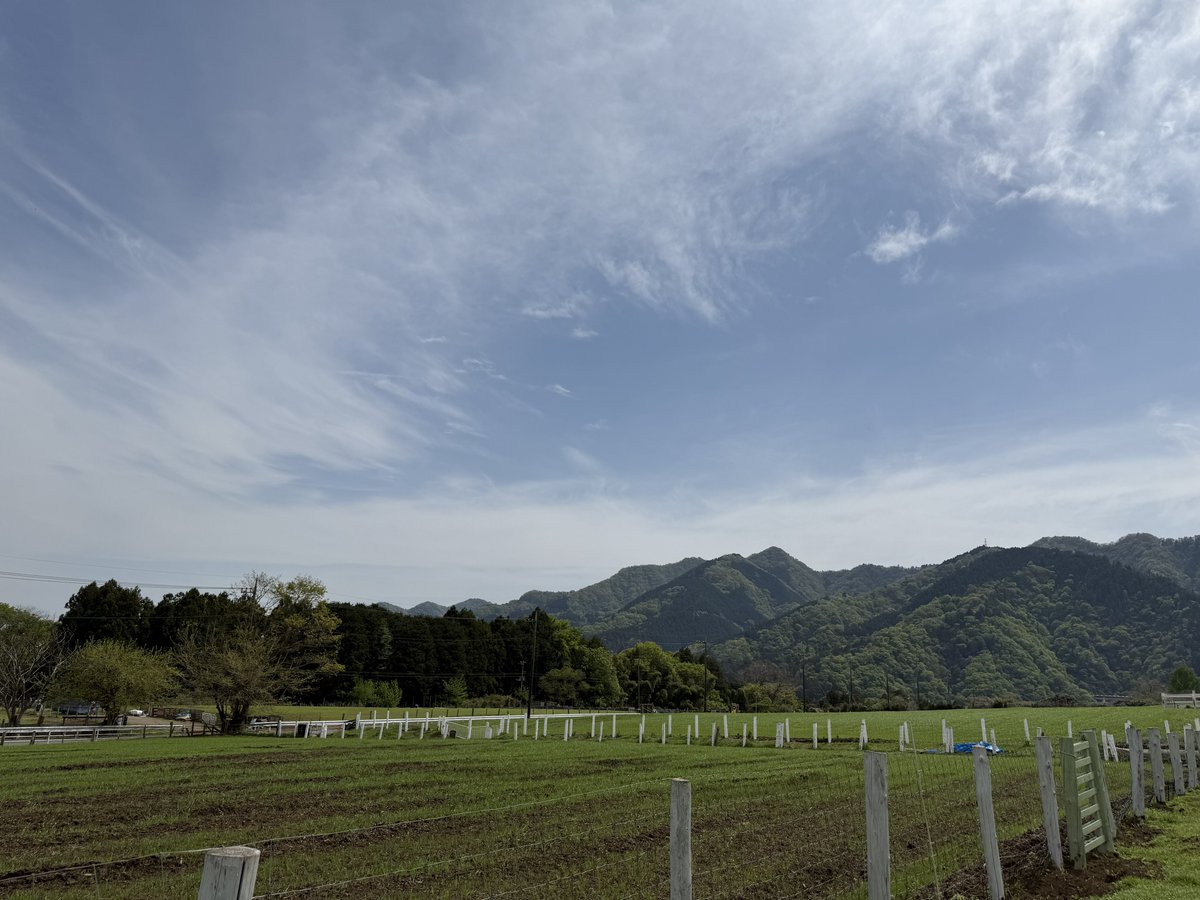 ほうじ茶 tweet media